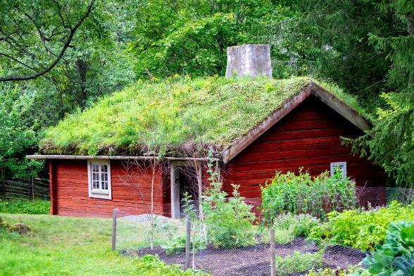 Green roof on a traditional Swedish house